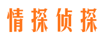 丰顺捉小三公司